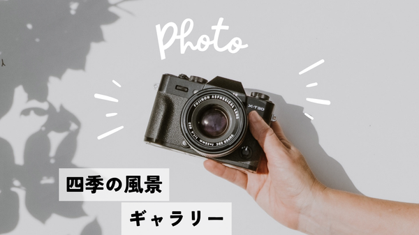 四季の風景ギャラリー